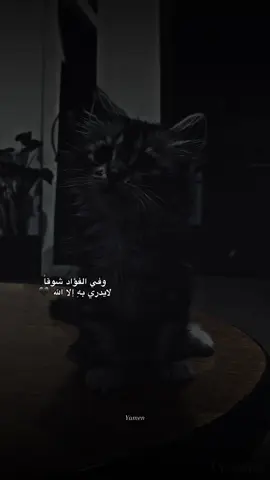 وفي الفؤاد شوقاً  لايدري بهِ إلا الله 🖤