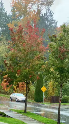 #جمعة_مباركة #everyone #like #life #funny #fypシ゚viral #مشاهير_تيك_توك 