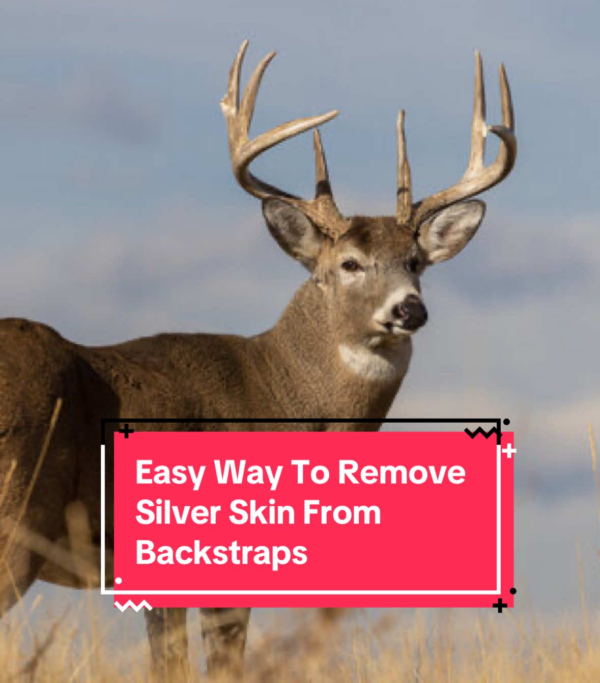 #easysilverskinremovalfromdeertenderloin #cleandeertenderloin #dressdeer #deerbackstraps
