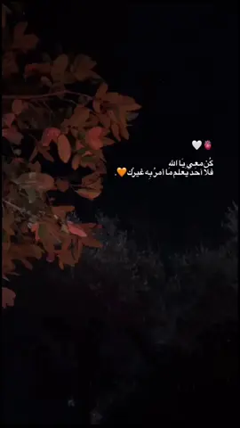 #قران_كريم #زبطوه #بيتلحم🇵🇸❤️القدس_الخليل_سوريا_الاردن💛 #تفاعلكم_لايك_متابعه_اكسبلوررررراexplore #صلوا_على_رسول_الله  @هاشم الراشدي 