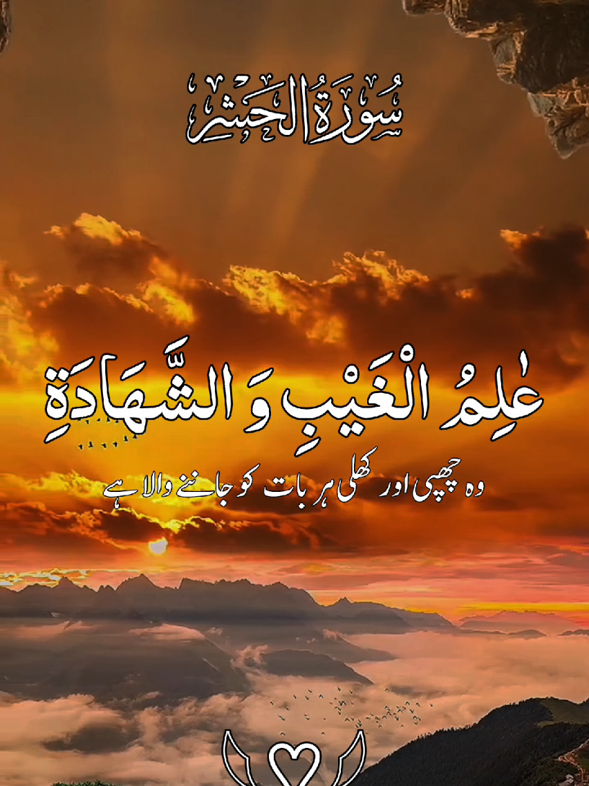 قرآن دلوں کا سکون اور روحوں کی روشنی ہے۔