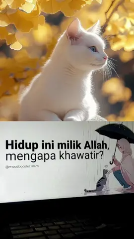 #fyppppppppppppppppppppp #requestlagu #abahkoeradio #catlover #musik 