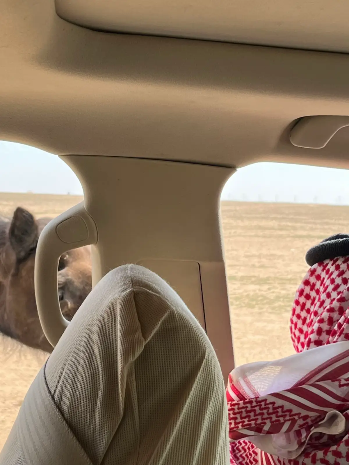 إِنْ يَكُنَ جِسَمِي تَنَاءىٰ فَالحَشَا بَاقِ لَدِيِكَ #fyp #4u #kwt 