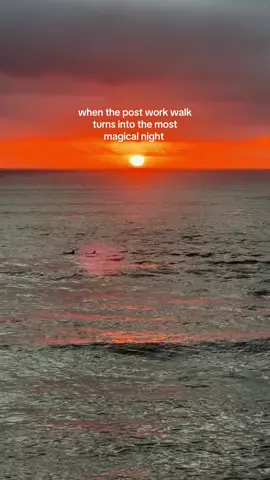 gets me every time :’)) love u sd #southerncalifornia #sandiego #sandiegolife #slowliving #saltedgranola 