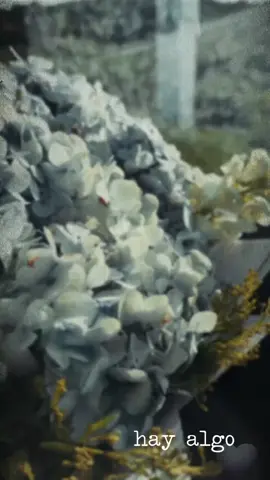 #Caplyric #CapCut #dibujame #samanthabarron 