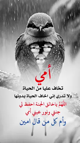 #fyp #explore #تصميم_فيديوهات🎶🎤🎬 #عبارات_دينية #اعادة_النشر🔃 