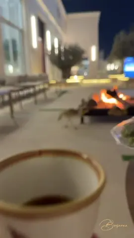 #binjarra#مجلس_بن_جراء 