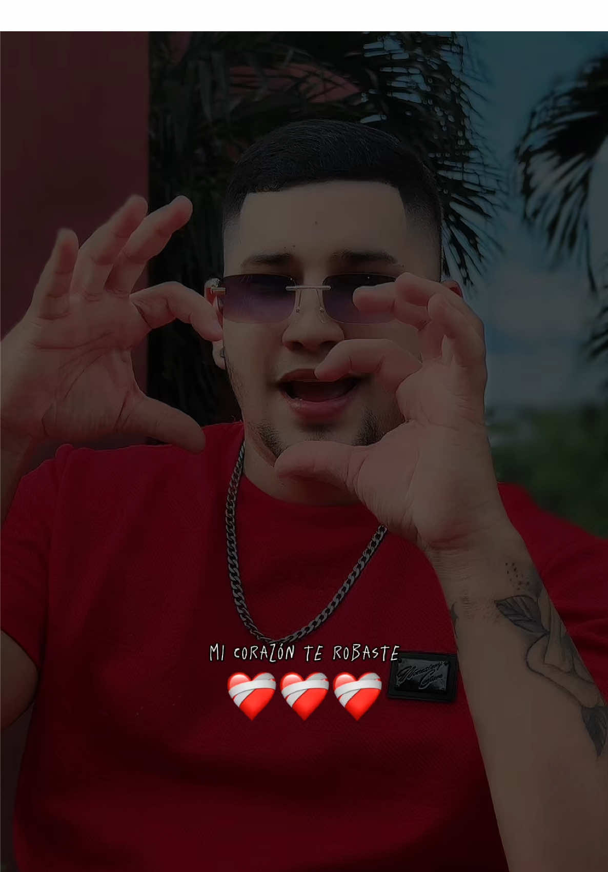 Mi corazón te robaste💔#amor #micorazonterobaste #Ozuna #Alam🐺💙 #viralvideos 