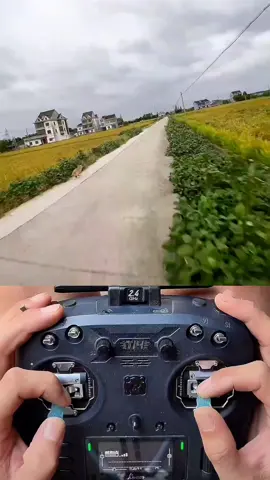 playing with my dog ​​part 1#dogsoftiktok #drone #fpv #dog #funnydog 