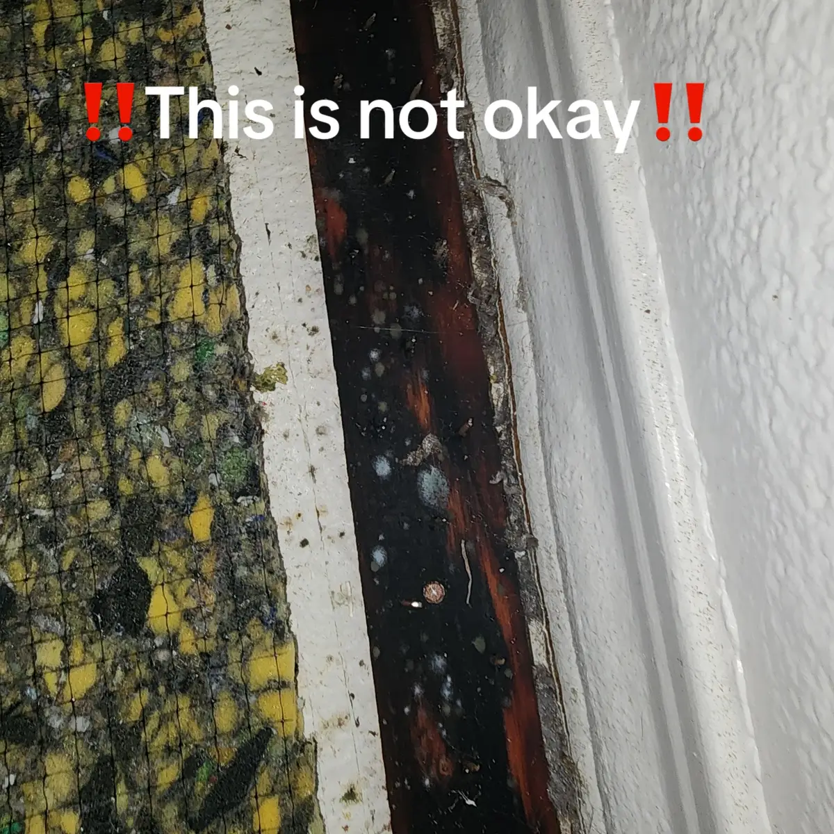 This is all due to the negligence of liberty Military Housing🗣️‼️ mold is literally growing all over our home but they have deemed as safe and habitable.   Our family deserves a safe home. We continue to get sick and sicker and they continue to respond less and less. THIS IS NOT OKAY  ##libertymilitaryhousing##lincolnmilitaryhousing##militaryhousing##blackmold##camppendleton