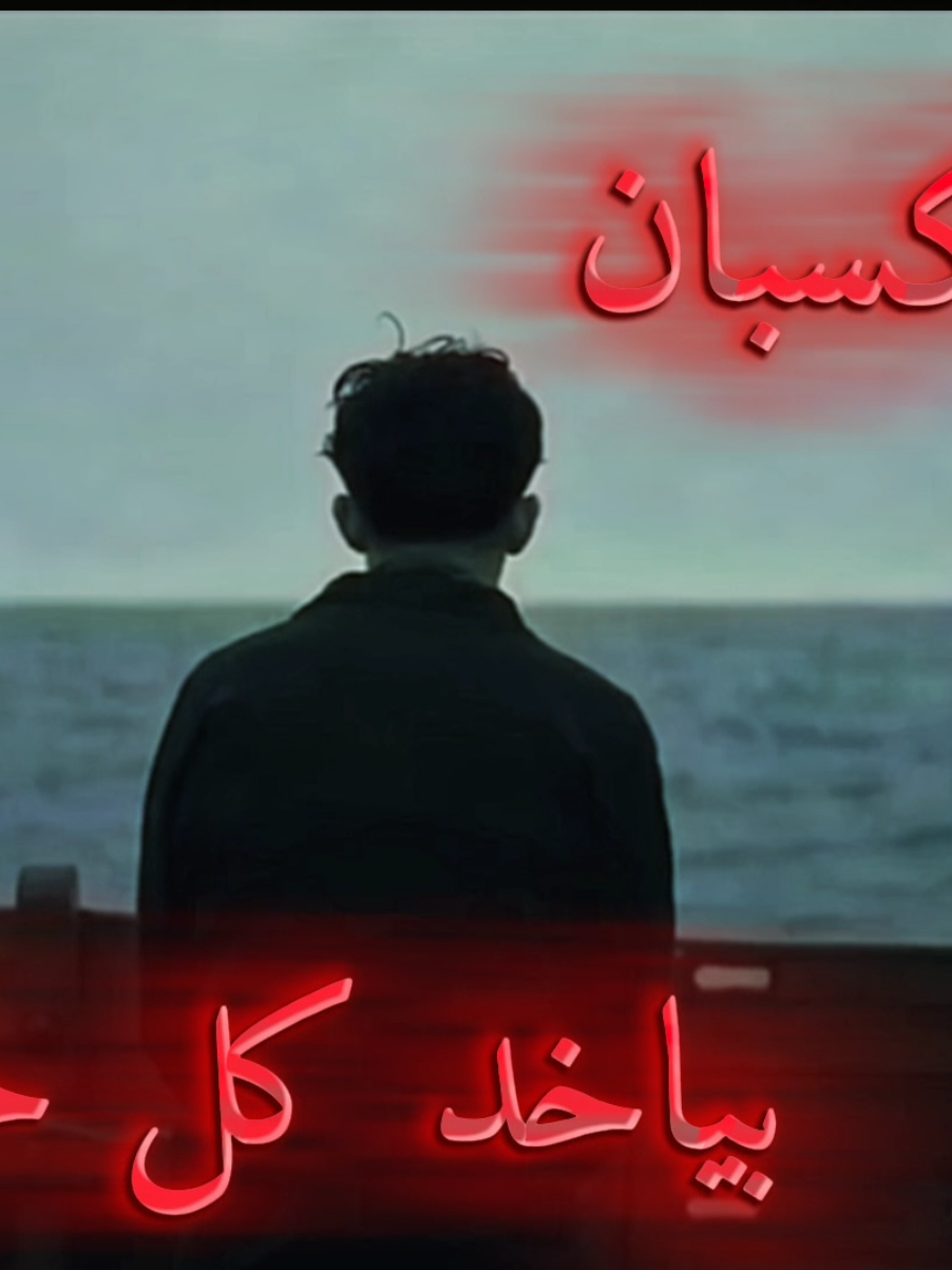 الكسبان بياخد كل حاجه                #cinema #thewinnertakesitall #fyp #explore #viral 