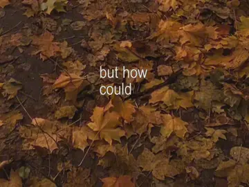 @laufey too little to late  #laufey #toolittletoolate #darkacademia 