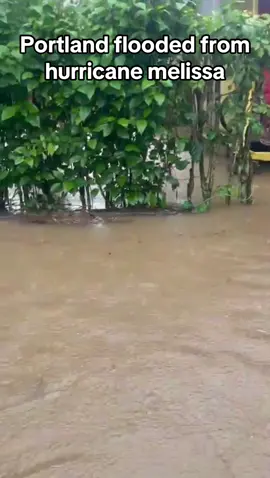 Portland flooded from hurricane melissa 