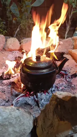 #اكسبلورexplore #trend #اكسبلور #البر #ترند 