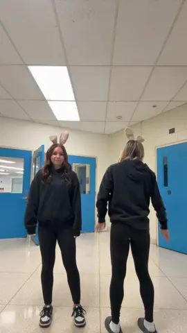 bunnies🤍🐰 #fyp @ryli.secret #snow #bunny 