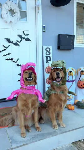 Smiliest dinos #dogsoftiktok #halloween 