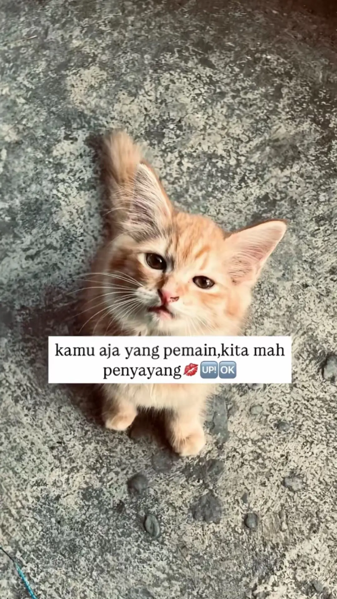 #story #slide #fyp #4u 