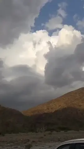 #🤲 