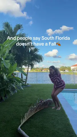 First fall of the season 🍂🍁