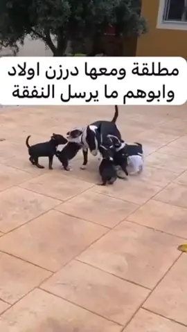 #ميمز #foryou #fyppppppppppppppppppppppp #viral #الشعب_الصيني_ماله_حل😂😂 