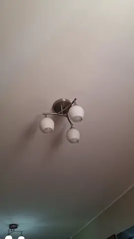 me creo una alma bella 