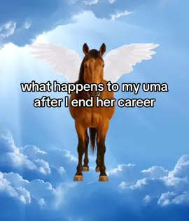 I’m looking at you tokai teio #umamusume #umamusumeprettyderby #fyp #horse 