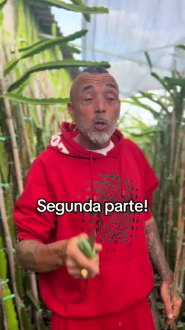 Segunda parte, si queréis… habrá tercera!!! PORFAVOR ESCUCHAR LA INJUSTICIA!!🥺🥺 Segona part, si voleu… ho haurà tercera!!! SI US PLAU ESCOLTEU LA INJUSTICIA!!🥺🥺  #injusticia #ayuda #agricultor #denuncia #invernadero 