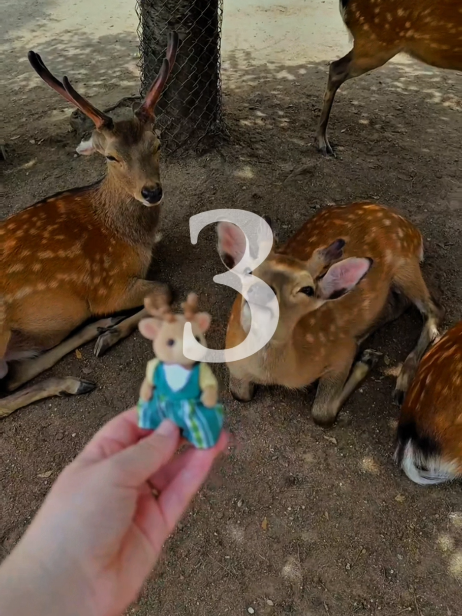 3 reasons why Japan is the best place to live!💯 #foryou #foryoupage #plces 