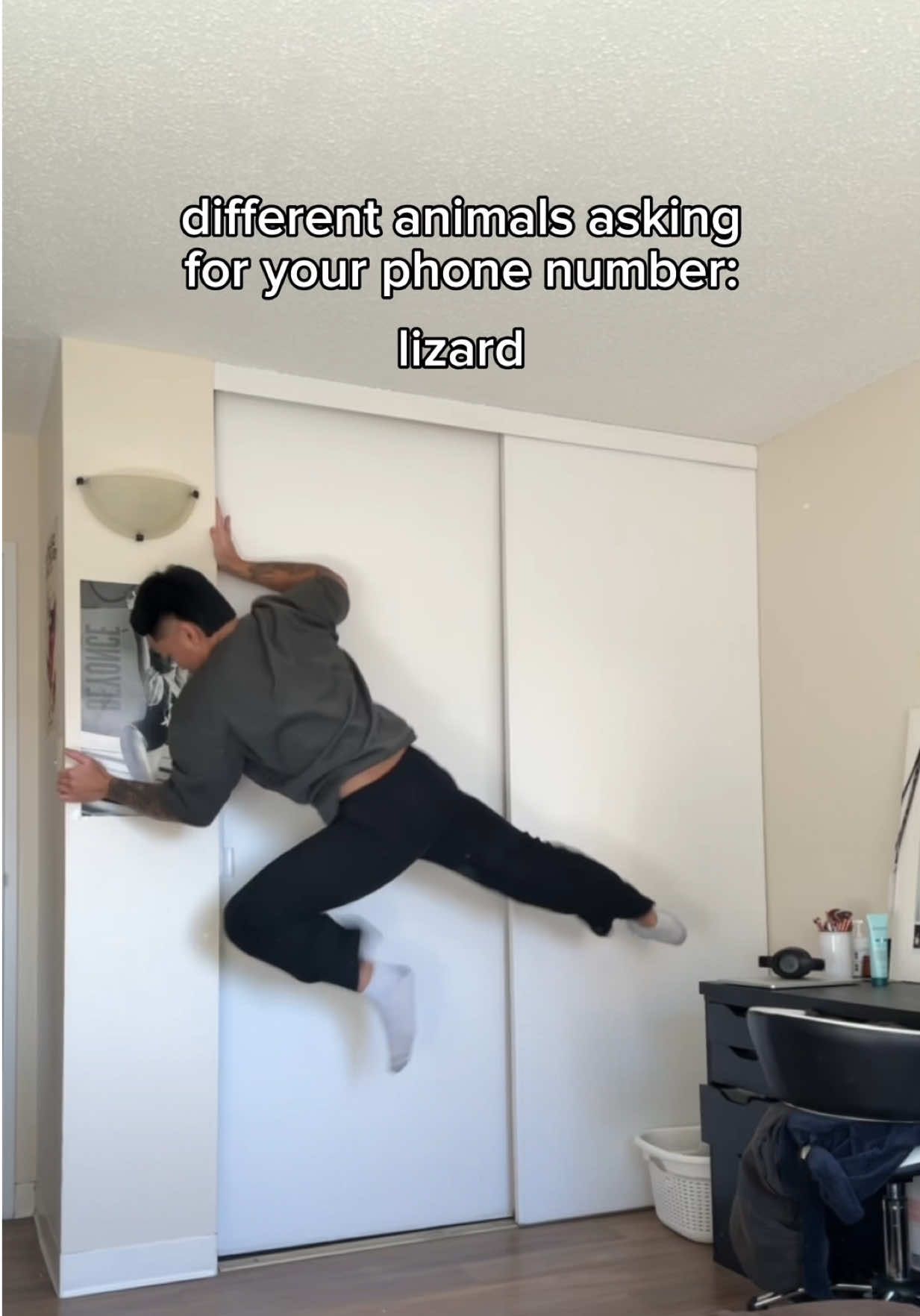 see u later alligator