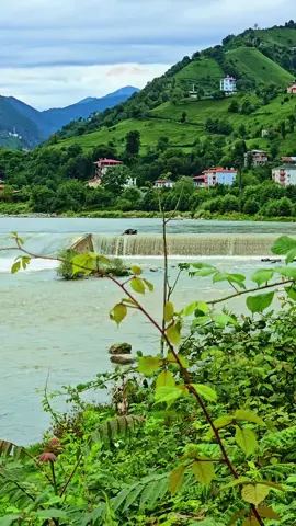 #ريزا #الشمال_التركي #السياحة_في_تركيا #تركيا #اكسبلور 