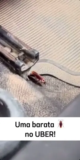 Corridas compartilhadas são mais baratas🪳 