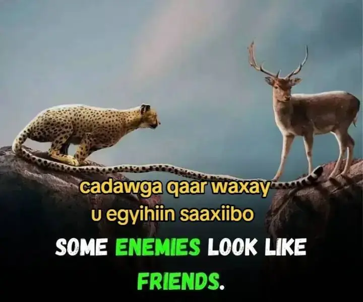 #zxpyaalFollowdahaigabakhiilina🙌🙌 #waxigaparozxp #10k #VoiceEffects #10k 