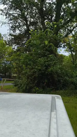 #fypage #fypシ #foryourpage 