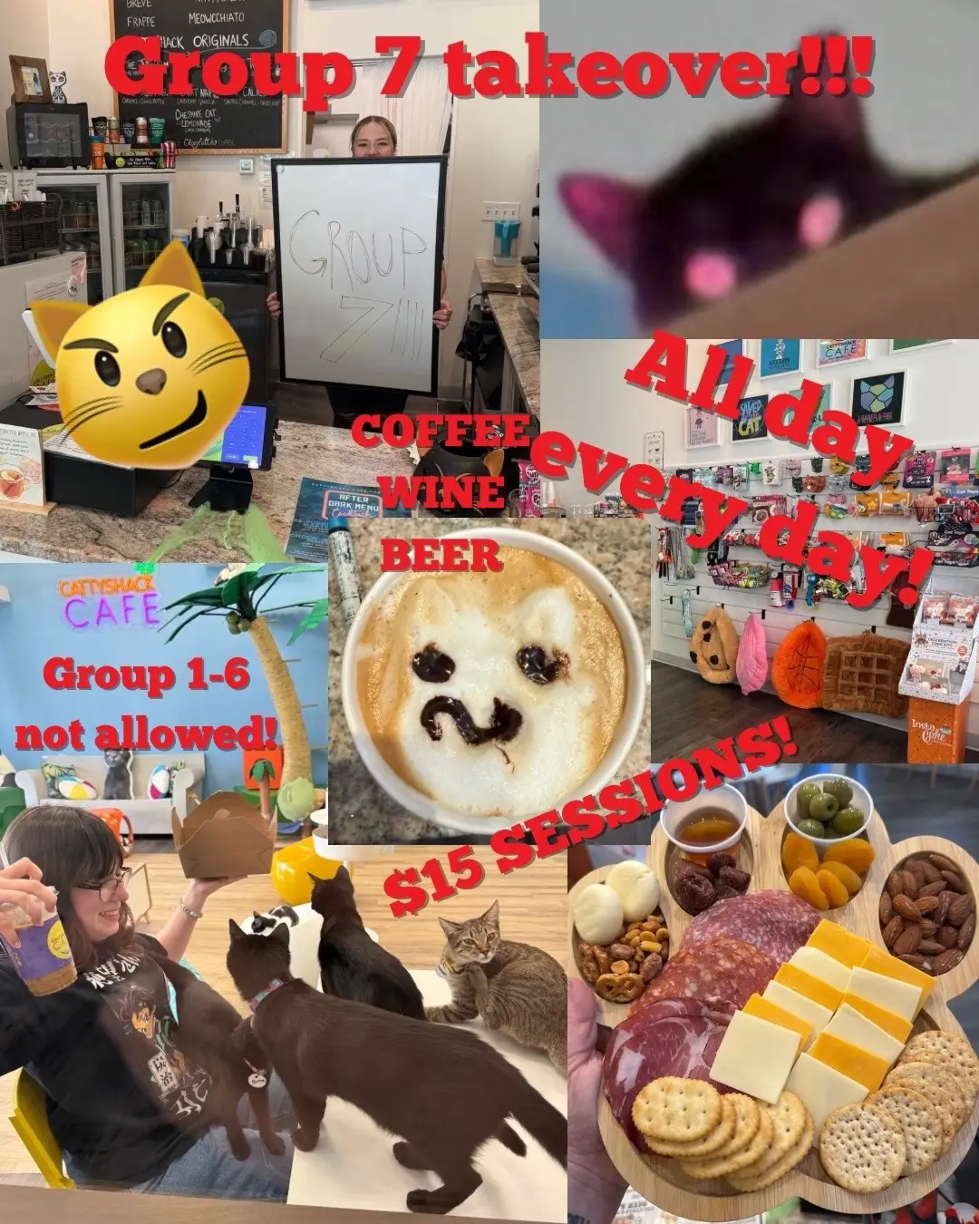 Group 7’s don’t go to any old regular cafe, they come to Cattyshack Cat Cafe 🙂‍↕️ check out Cattyshackcafe.com and get yourself a reservation!!  #catcafe #group7 #rescuecats #catsandcoffee #swfl 
