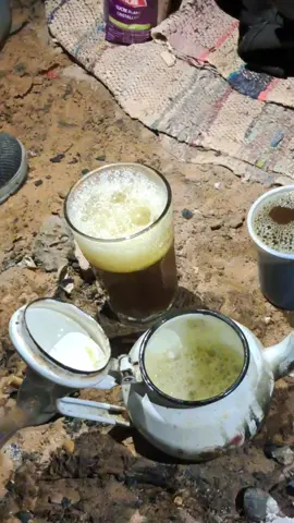 #تحياالتاي 🔥🫖☕👍🤣 ادرار_01_تيميمون_بشار_المنيعة_غرادية صينين_مالهم_حل😂 