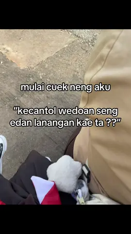 #fyp #fypdongggggggg #xybc 