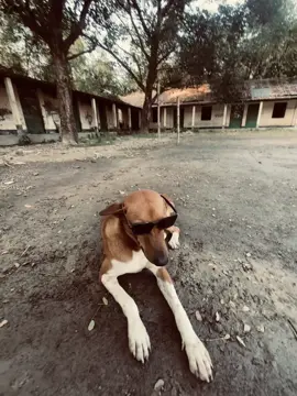 pasaaaa (ahhaaaa) 😆#unfrezzmyaccount 