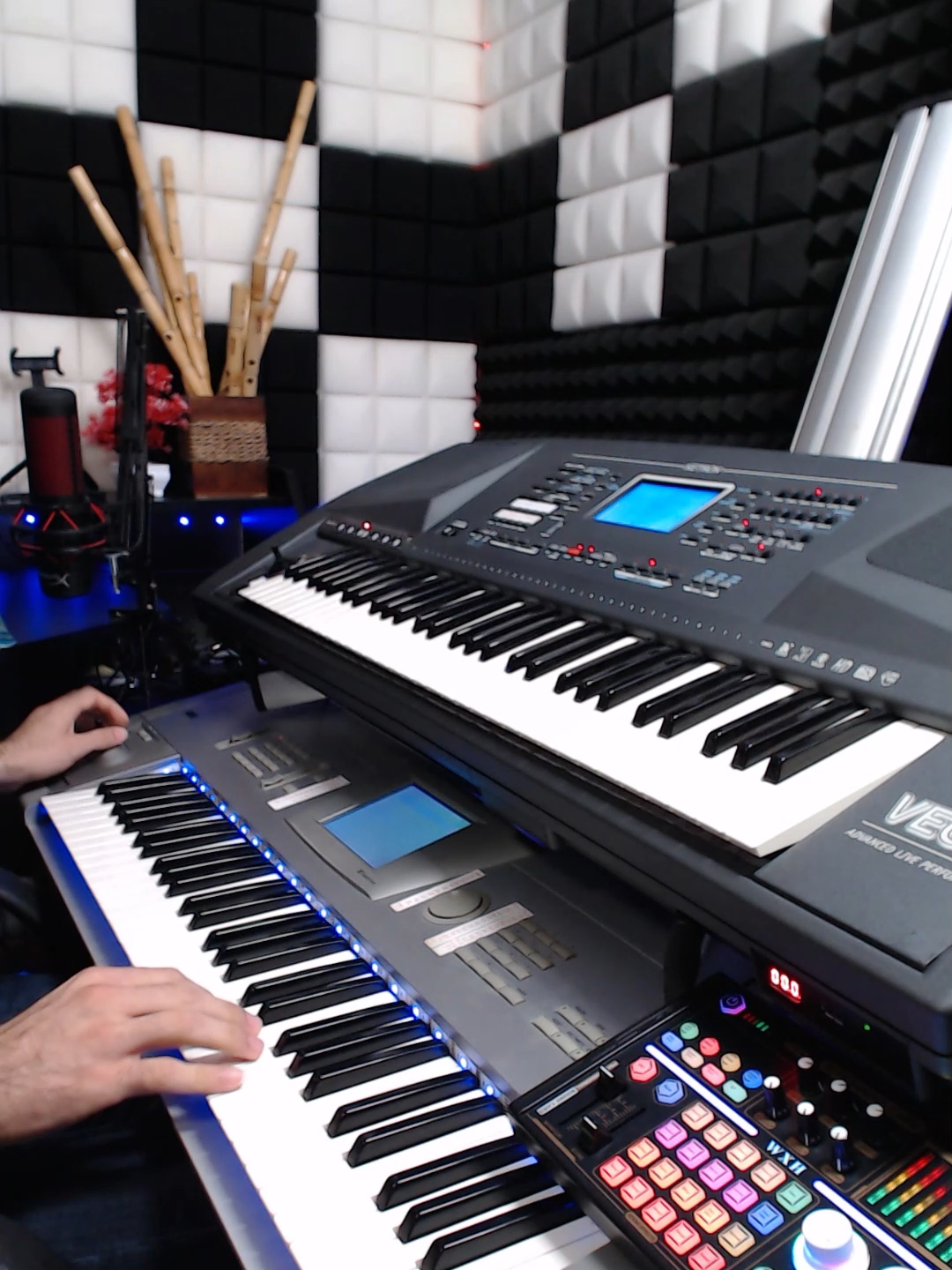 دبكة نشلة حماسية - طلال الداعور #عزف #اورغ #حفلات #سماعاتك🎧🔥 #نعيم_الشيخ #دبكة_سورية #دبكات #دبكة #فارس_محمد #ابو_الفوارس