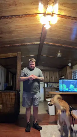 #viral #tiktok #trans #group7 
