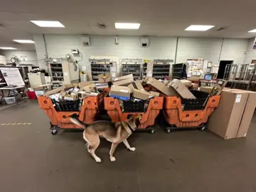 Life at the USPS on Amazon Sunday mornings. #USPS #amazonpackage 