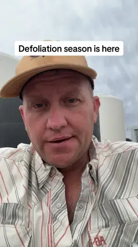 Defoliation update, we started but still have a lot left#cottonfarmer #texaspanhandle #westtexas #farmtok 