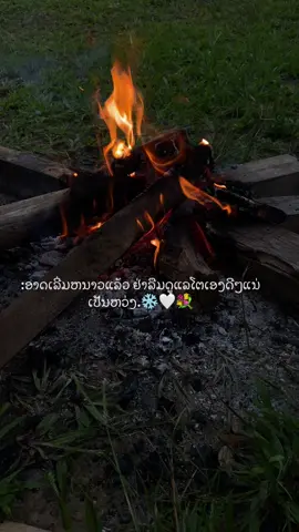 #ຟິດດດດ✨ #ຄວາມຮູ້ສຶກ 