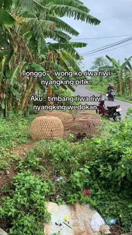 🤪 #ayambangkoksuper #ayambangkok #fyp #foryou #foryoupage 