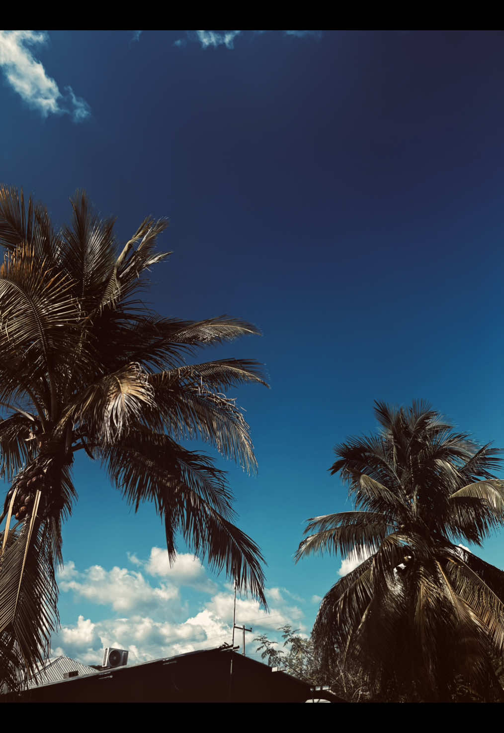 Mi tema😍#stay #straykids #fotyoupage #xybca @Stray Kids #music 