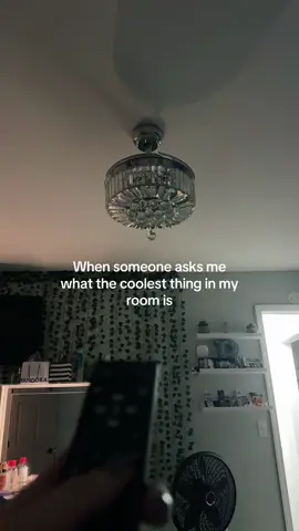 Everyone is always flabbergasted #fypシ 