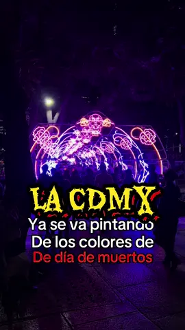 La CDMX ya se va pintando de colores de las fiestas de día de muertos siendo el zócalo y el paseo de la reforma los más impactantes en este 2025. #reforma #diademuertos #cdmx #zocalo #cempasuchil 
