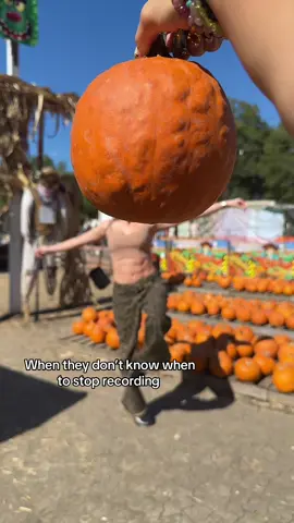 #pumpkin #pumpkinseason #pumpkinpatch  