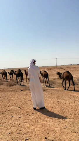 قصة حب 😂🤎 #fyp #foryou #viral #explore 