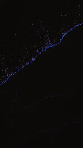 من أعماق البحر يولد الجمال… مو صدفة، هذا فنّ الطبيعة 💠🌊 ،،، تصويري  #اللؤلؤ #سحر_البحر #التلؤلؤ_البيولوجي 