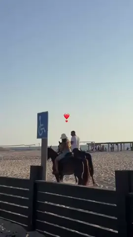 #❤️😍✨🐎..!